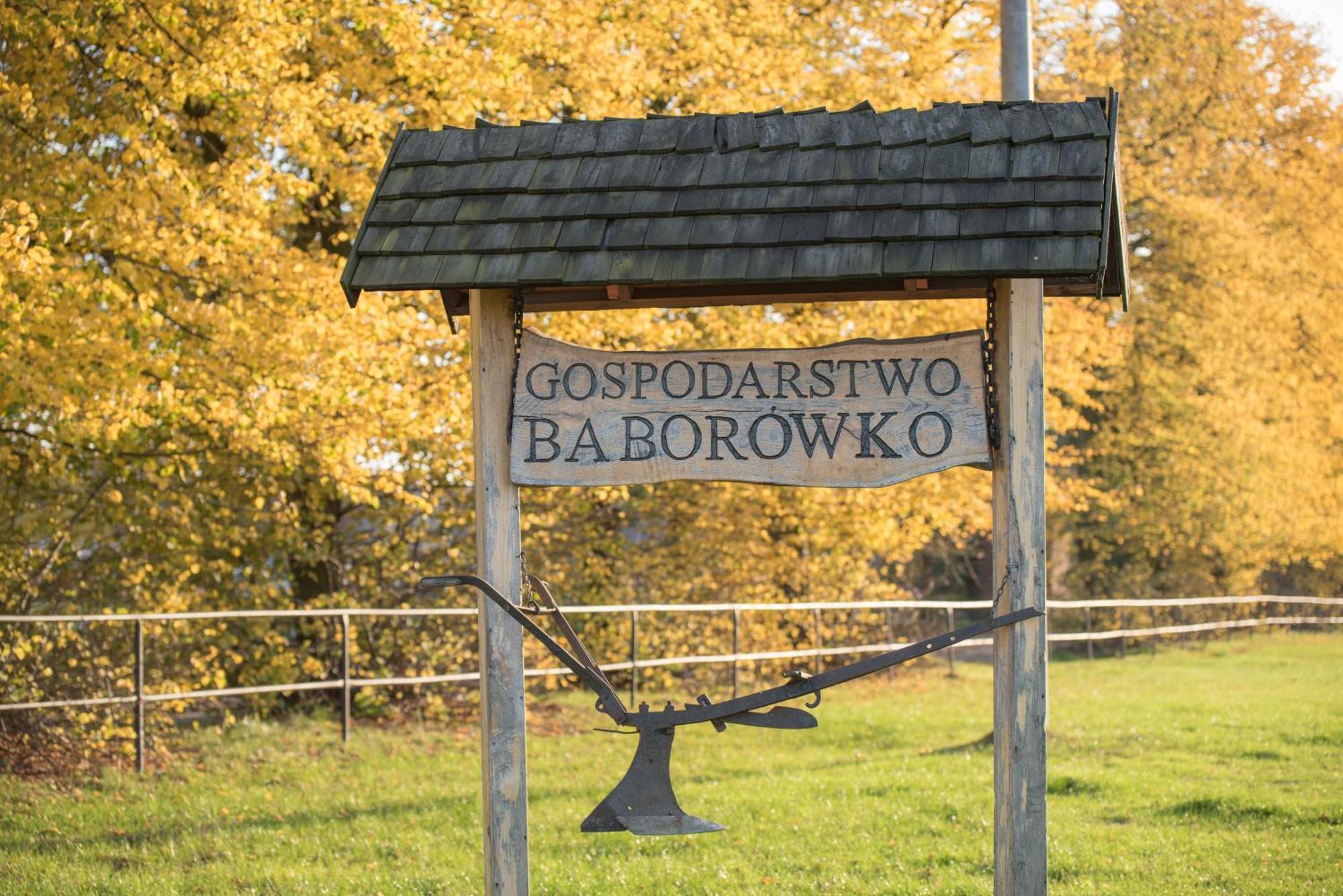 Palac Baborowko Szamotuły Εξωτερικό φωτογραφία